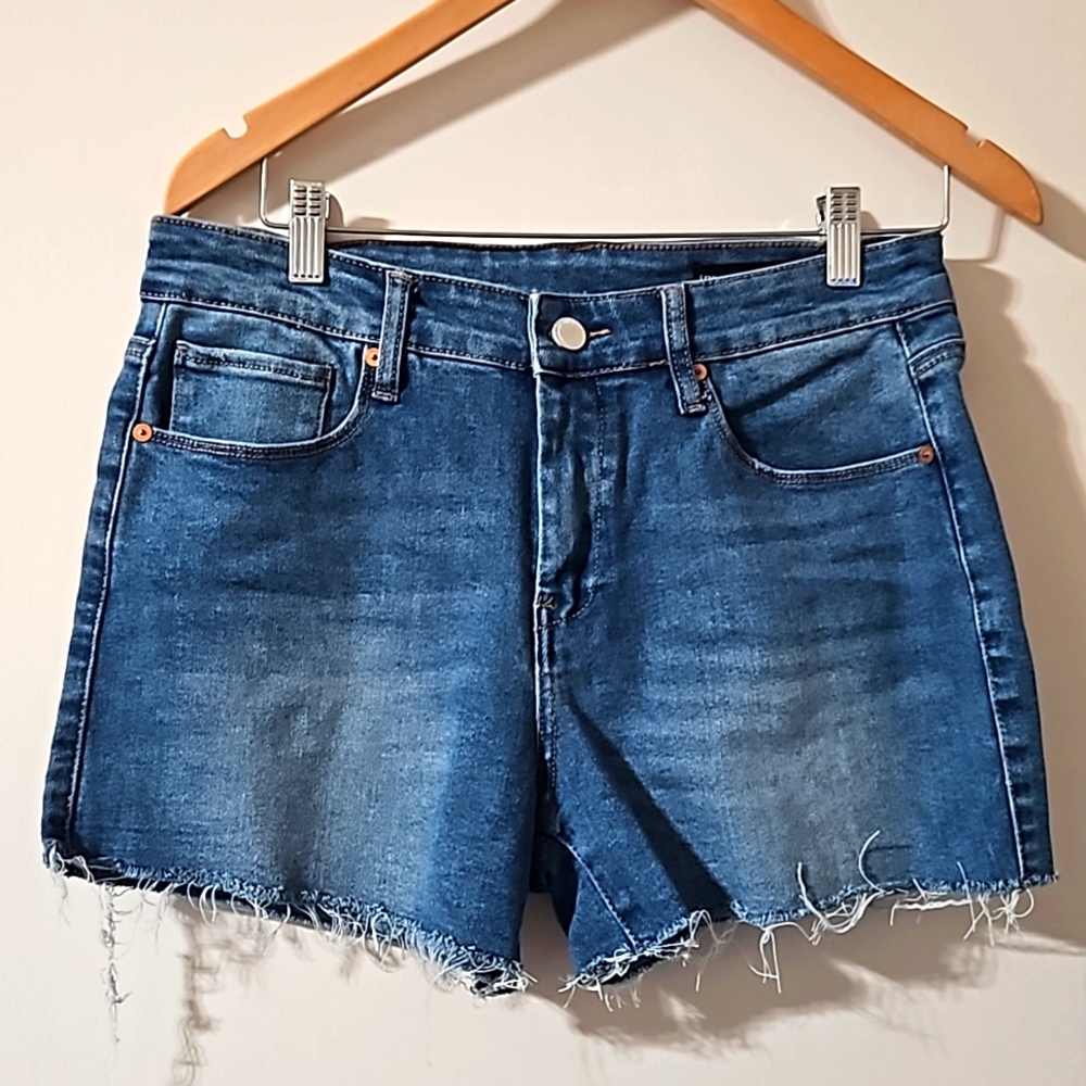Blankncy shorts sz 29